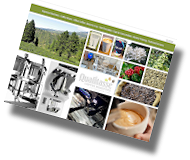 Qualitasse online coffee brochure